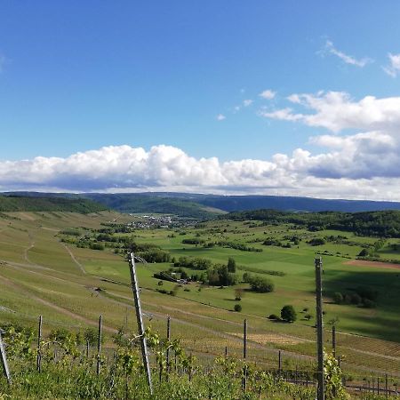 Ferienwohnung Panoramablick Lieser Dış mekan fotoğraf