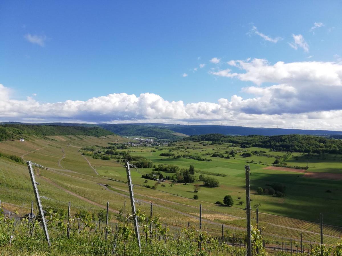 Ferienwohnung Panoramablick Lieser Dış mekan fotoğraf